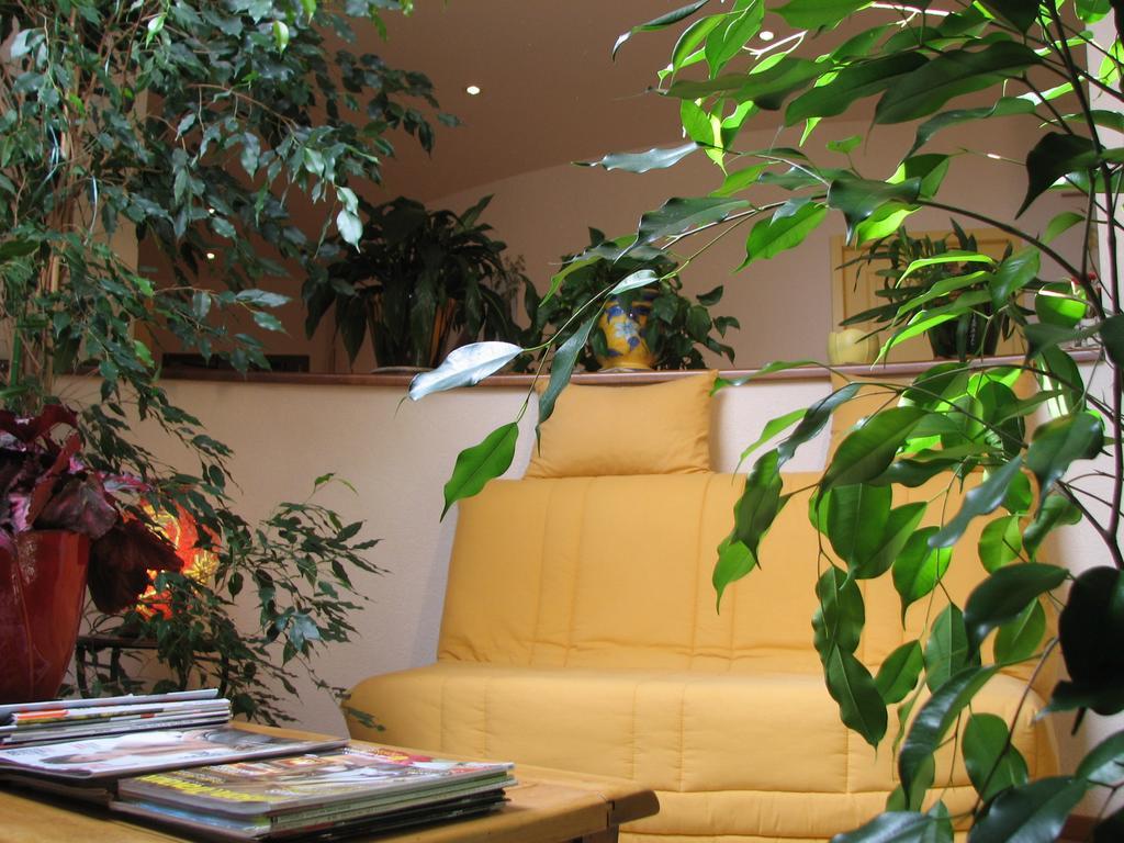Saint-Ondras Le Pas De L'Ane Chambres D'Hotes חדר תמונה